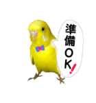 るち withふぁみりー（個別スタンプ：3）