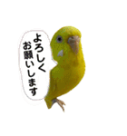 るち withふぁみりー（個別スタンプ：7）