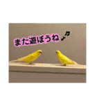 るち withふぁみりー（個別スタンプ：23）