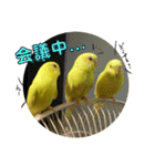 るち withふぁみりー（個別スタンプ：24）