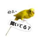 るち withふぁみりー（個別スタンプ：31）
