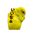 るち withふぁみりー（個別スタンプ：36）