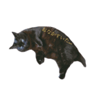 黒猫ぱふぃーちゃん（個別スタンプ：1）