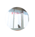 黒猫ぱふぃーちゃん（個別スタンプ：5）