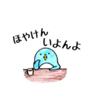 伊予弁のペンギン@愛媛県（個別スタンプ：12）