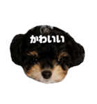 バズくん。（個別スタンプ：14）