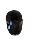 愛猫そらくんのスタンプ（個別スタンプ：4）