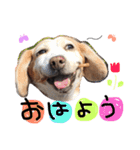 るいとうめこの日常（個別スタンプ：4）