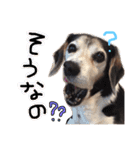 るいとうめこの日常（個別スタンプ：8）
