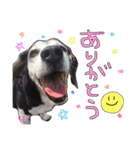 るいとうめこの日常（個別スタンプ：16）