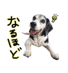 るいとうめこの日常（個別スタンプ：28）