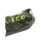 飼い猫「くう」のスタンプ（個別スタンプ：16）