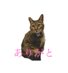 ひめとくぅのスタンプ（個別スタンプ：8）