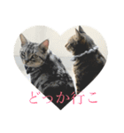 ひめとくぅのスタンプ（個別スタンプ：9）