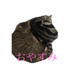 ひめとくぅのスタンプ（個別スタンプ：12）