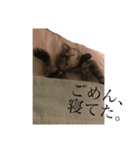 ひめとくぅのスタンプ（個別スタンプ：15）