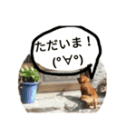正宗さん（個別スタンプ：10）