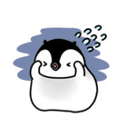 かわいい 赤ちゃん ペンギン ペンコ（個別スタンプ：5）