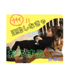 橋田家スタンプ1（個別スタンプ：7）