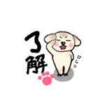 うちのノアちゃん ②（個別スタンプ：1）