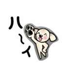うちのノアちゃん ②（個別スタンプ：2）
