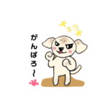 うちのノアちゃん ②（個別スタンプ：8）