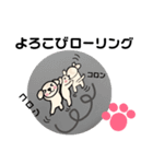 うちのノアちゃん ②（個別スタンプ：14）