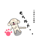 うちのノアちゃん ②（個別スタンプ：17）