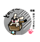 うちのノアちゃん ②（個別スタンプ：19）
