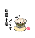 うちのノアちゃん ②（個別スタンプ：22）
