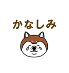 柴犬の顔で語るスタンプ（個別スタンプ：5）