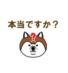 柴犬の顔で語るスタンプ（個別スタンプ：7）