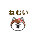 柴犬の顔で語るスタンプ（個別スタンプ：14）