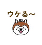 柴犬の顔で語るスタンプ（個別スタンプ：21）