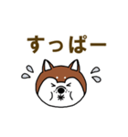 柴犬の顔で語るスタンプ（個別スタンプ：36）