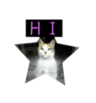 ブサイクで可愛い猫のスタンプ（個別スタンプ：3）
