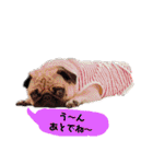 ウチのめいちゃん（個別スタンプ：3）