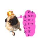 ウチのめいちゃん（個別スタンプ：6）