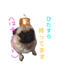 ウチのめいちゃん（個別スタンプ：7）