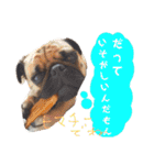 ウチのめいちゃん（個別スタンプ：10）