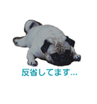 ウチのめいちゃん（個別スタンプ：13）