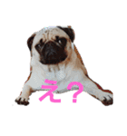 ウチのめいちゃん（個別スタンプ：15）