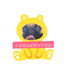 ウチのめいちゃん（個別スタンプ：21）