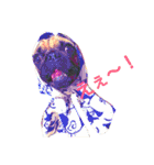 ウチのめいちゃん（個別スタンプ：22）