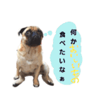 ウチのめいちゃん（個別スタンプ：30）