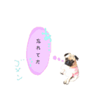 ウチのめいちゃん（個別スタンプ：39）