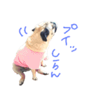 ウチのめいちゃん（個別スタンプ：40）