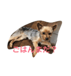 m＆c...（個別スタンプ：2）