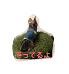 m＆c...（個別スタンプ：5）
