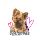 m＆c...（個別スタンプ：9）